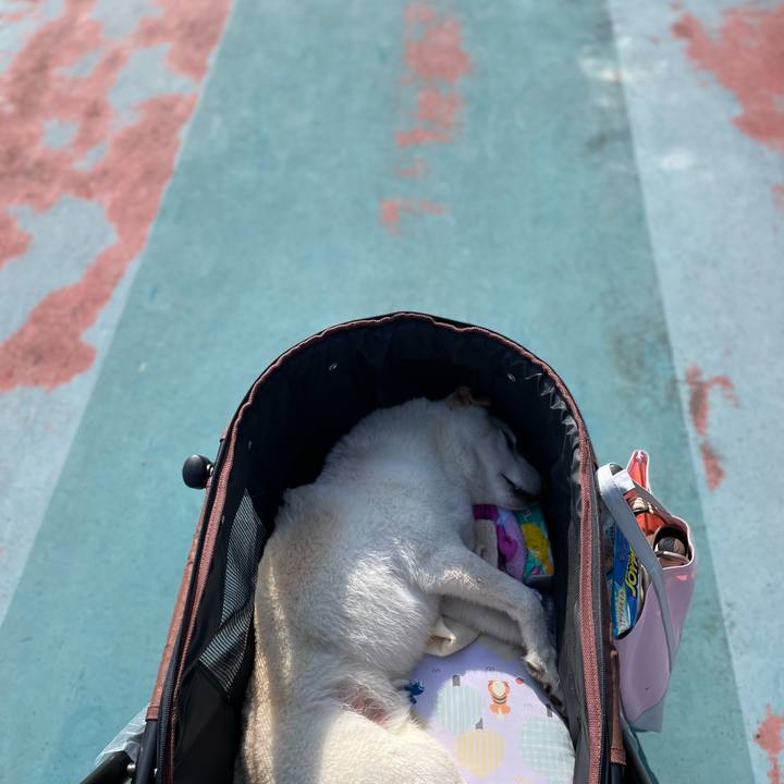 Befcb4bc 8a13 43ed 8bfc 57139d934f1a 1649484984004