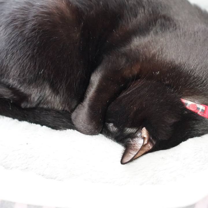 Befce328 aa4c 46f2 baad ab22d23548ee 1548390730172