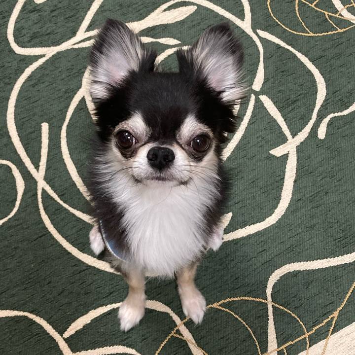 Befcece2 181a 4e72 8a99 db4cbf156593 1647093195671