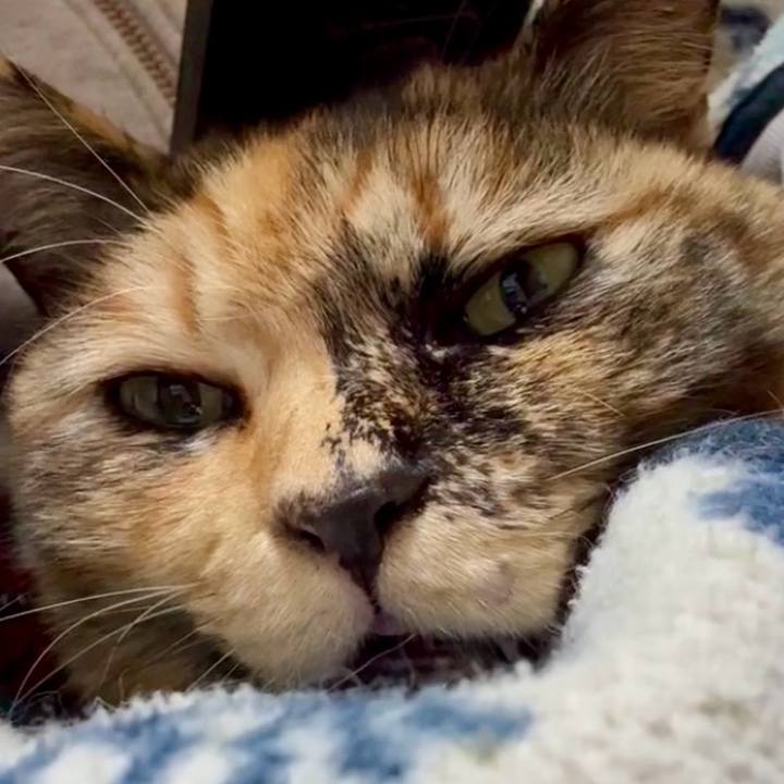 Befcf015 421e 42ea 82fc 2ee94f074611 1770732934205