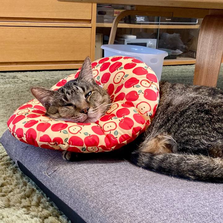 Befd33d0 dca4 4a7e a40f bed5fe22a32a 1684148240087