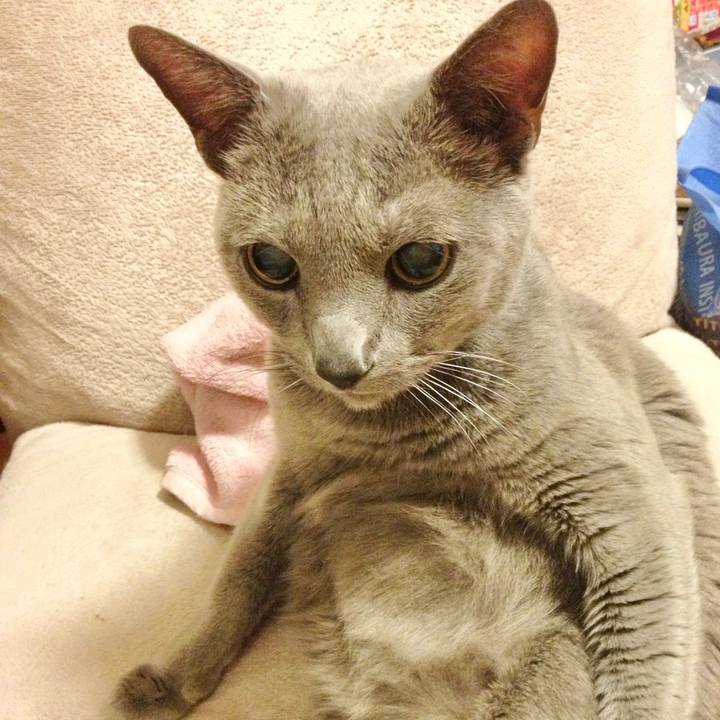 Befd9f4a 31fb 4121 95ca a0a811dfa581 1617290164293