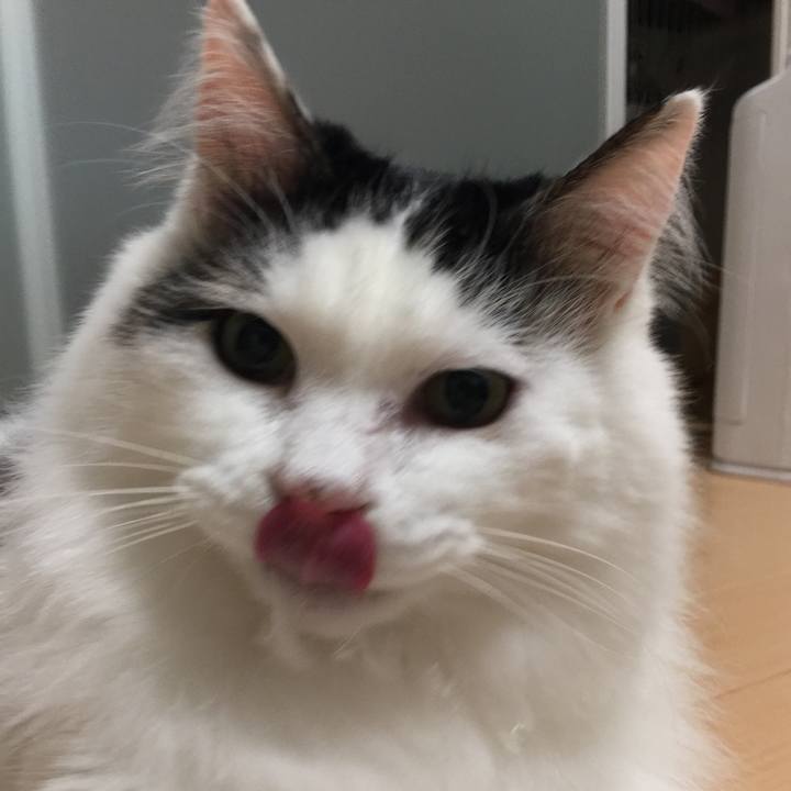 Befdaeb4 cdf0 499c b0ea 9c1319414f2e 1511487722202