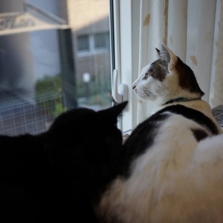 Befdcabe d076 4397 8f71 2aae14741d11 1512949709888