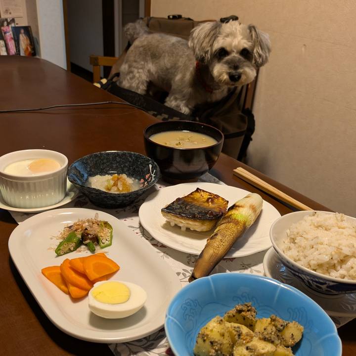 Befde3b9 28a9 4adb b054 429eb8c2d935 1760013536716