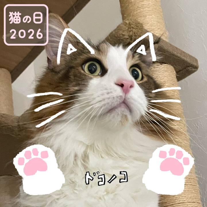 Befe0a86 7c79 452e ba6e 70d51c17a11f 1771726070622