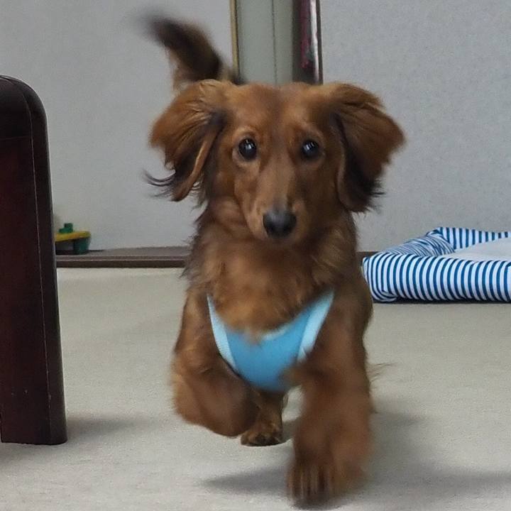 Befe156e 4f57 4692 8404 af17444375de 1714529152993