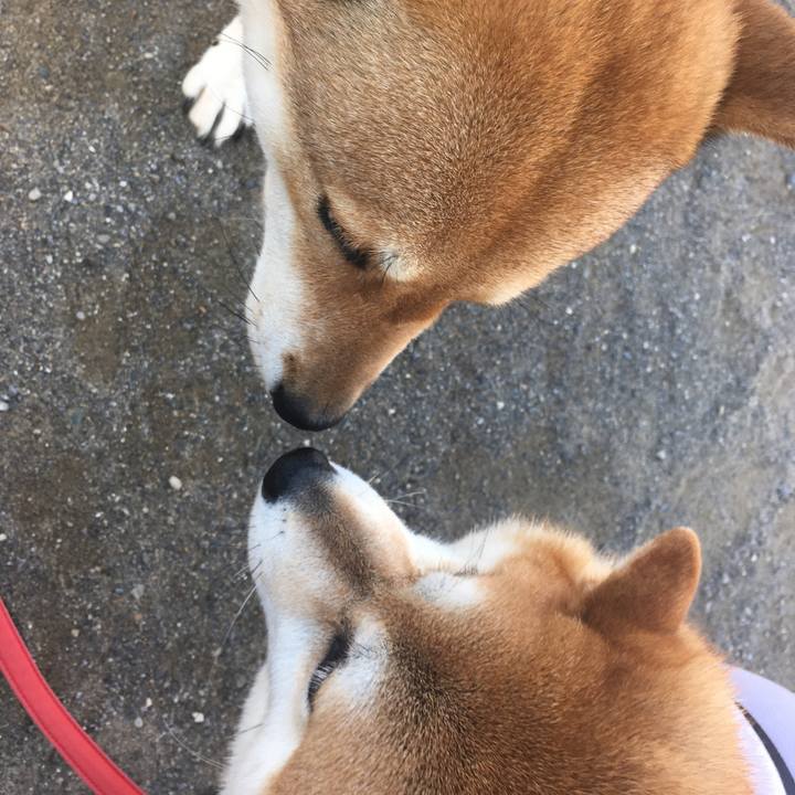 Befe1f40 c5c0 49c7 8f06 7152914ce0f0 1596328942900