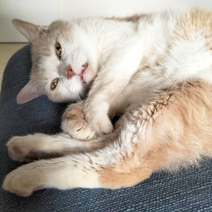 Befe25a4 997f 47de a799 1813447c7aa2 1694471085032