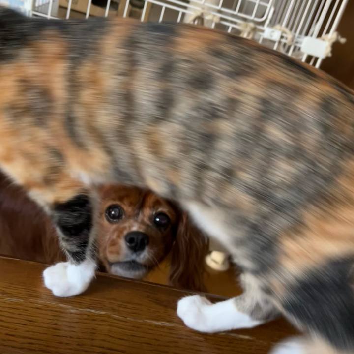 Befe3011 4aeb 4b50 a960 a8b949632b0e 1656807303599