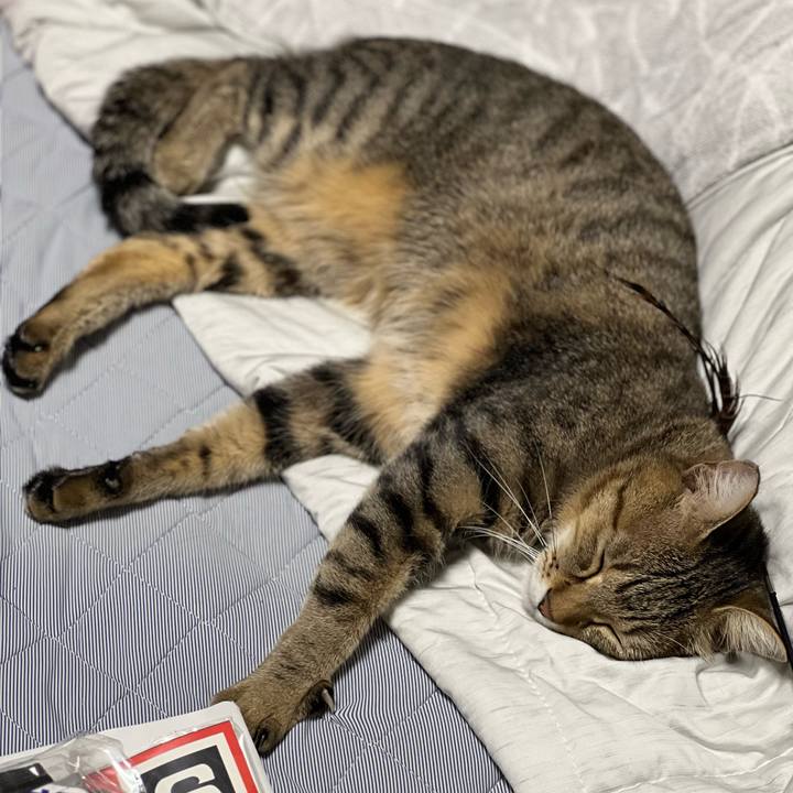 Befe47f4 4b1f 4359 8b8a 2cff50f05cba 1758983026780