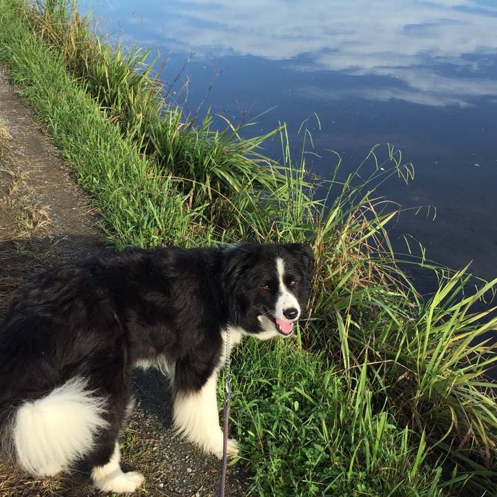 Befe4bcb 39e3 4ce3 8d56 b4acdd03ac09 1723810739677