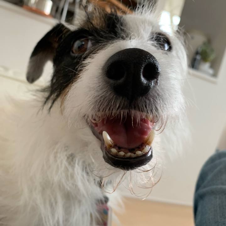 Befe6b46 8c38 40c3 b694 01e568454692 1654235802354