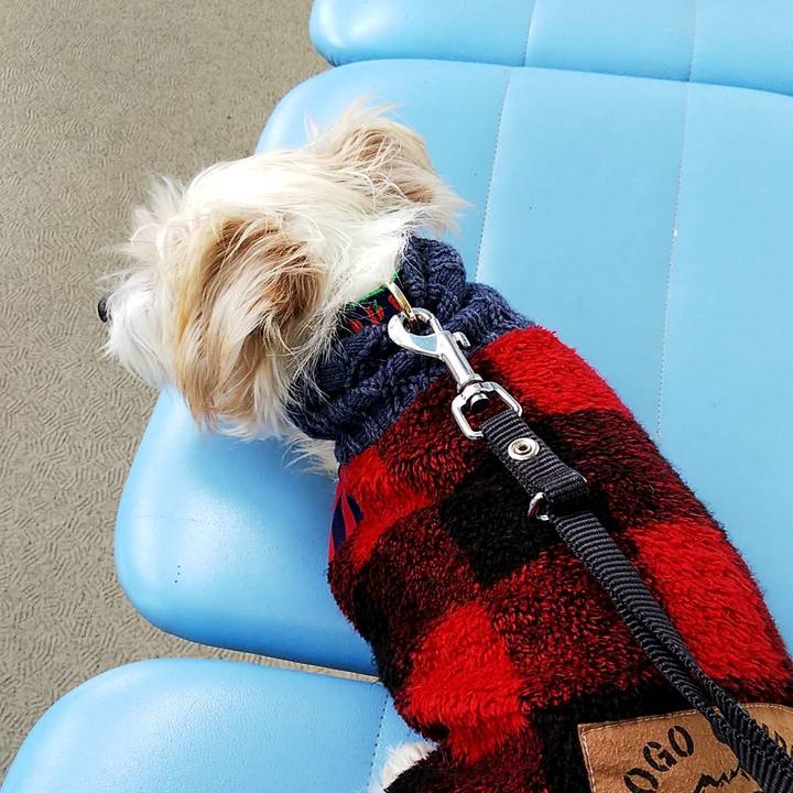 Befec044 25e3 4a56 8e3e b7220d528899 1544923145712