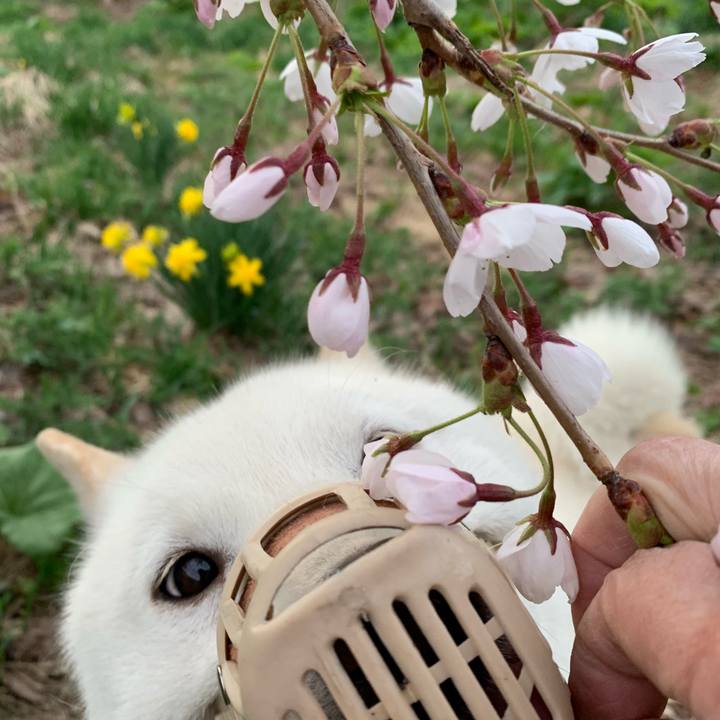 Beff36dc 20a3 47ae a8f7 5c5981421969 1557100133575