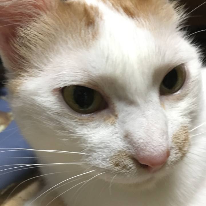 Beff5969 a702 4419 a95f 67334ca3eef1 1564475922618