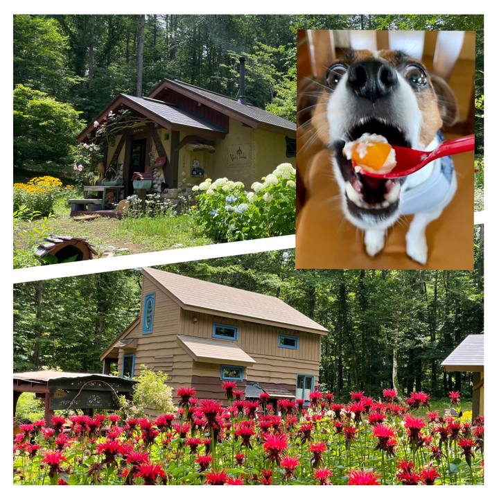 Beff731a 7f25 4137 a8d7 e01d9dbdc712 1657512360885