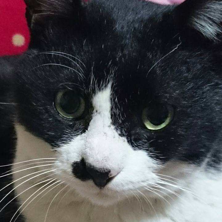 Beff7fae a71d 45e7 aa71 667e66d868dd 1520056927307