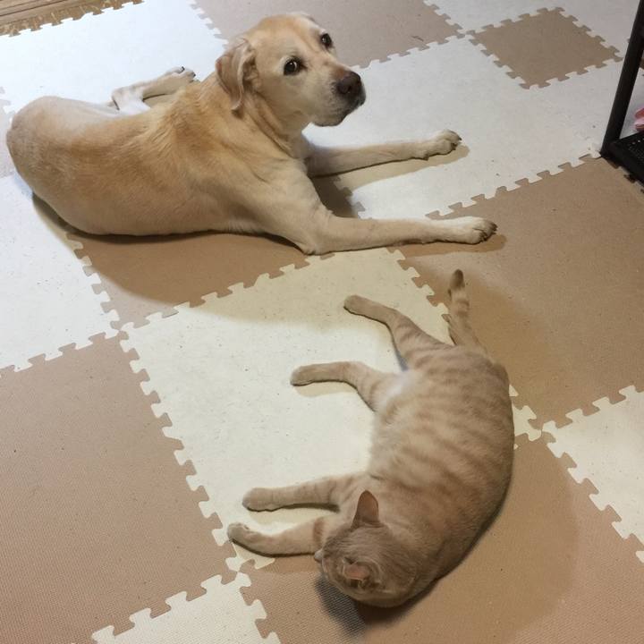 Beffa875 66b3 4b36 8938 78277bedadc1 1578832110594