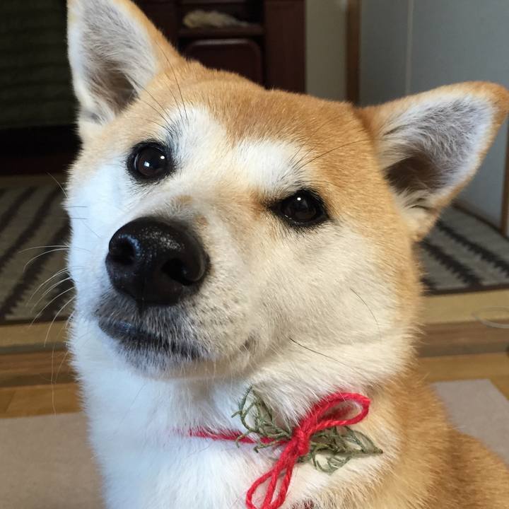 Beffabe2 1338 432a bb99 e86ef05c256f 1513990343378