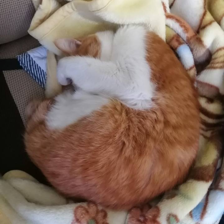 Beffb39e 7092 49d4 9d97 c7f8848fe632 1616833173474