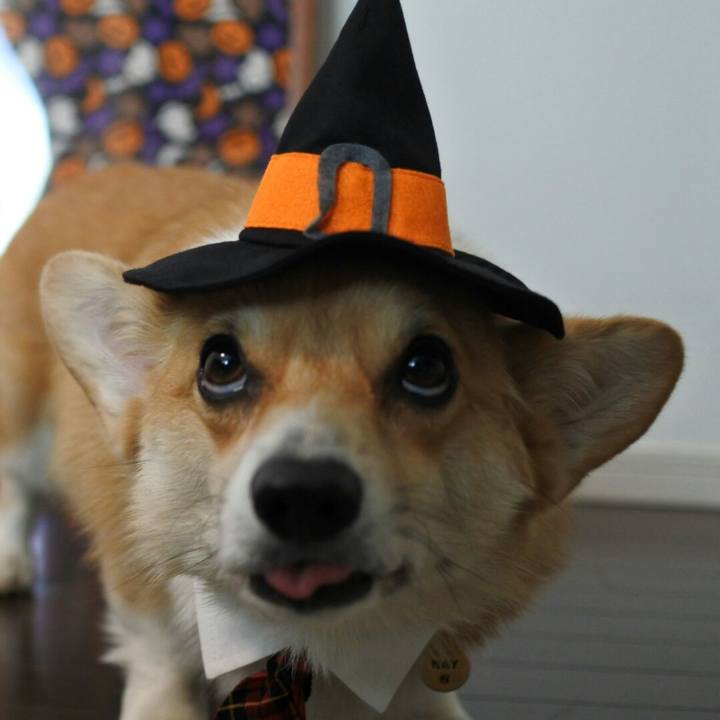 Beffe779 a9fb 4b9f 8865 c3c250c79e5a 1508464975745