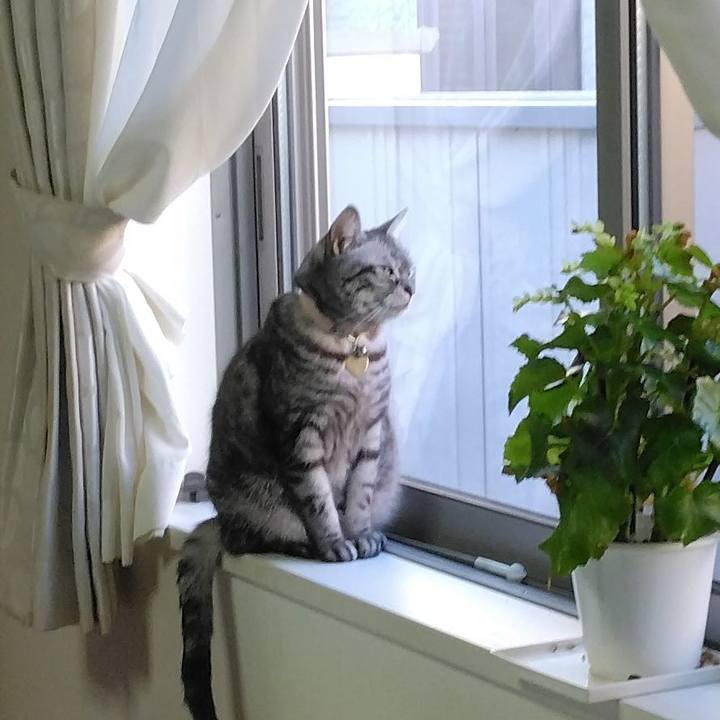 Bf001e73 4786 4da3 92cf cab031ae79c4 1769648693916