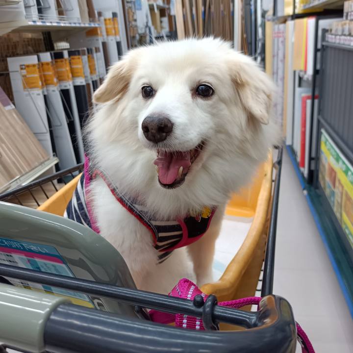 Bf00255a 4840 4676 8488 ecd4f9dfda8a 1707032723956