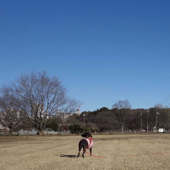 Bf0042ae 81f8 4c5e b47b 55afe8238e0c 1677375099128