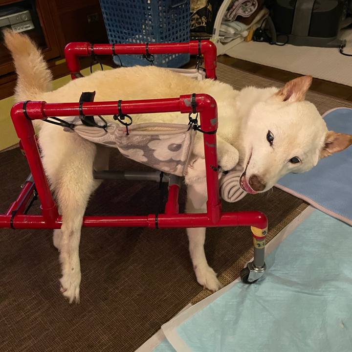 Bf0048ab a097 45d2 bb1e 086a7e66fe8f 1660657692596