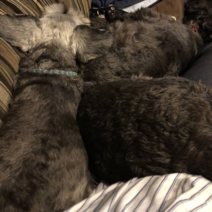 Bf0073ea dd25 4024 a730 94f5bb88657a 1540473539277