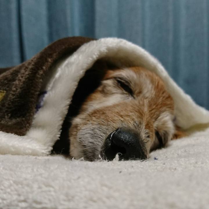 Bf0083cf d343 4664 b09e 04a3aed95efc 1519438824448