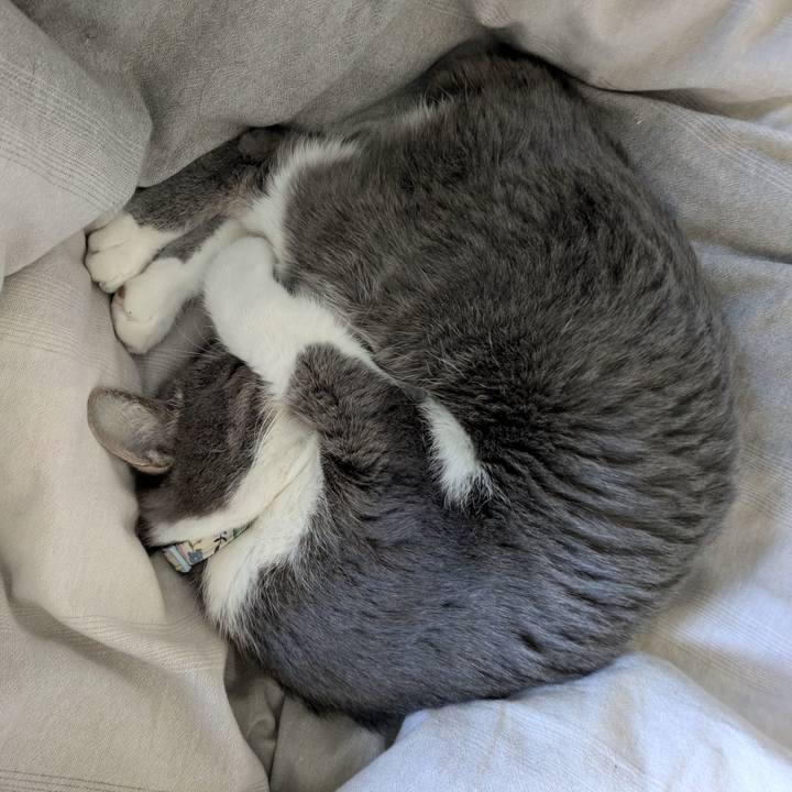 Bf00a6c2 af1f 4054 89fe 412ceb7658d4 1768697221658