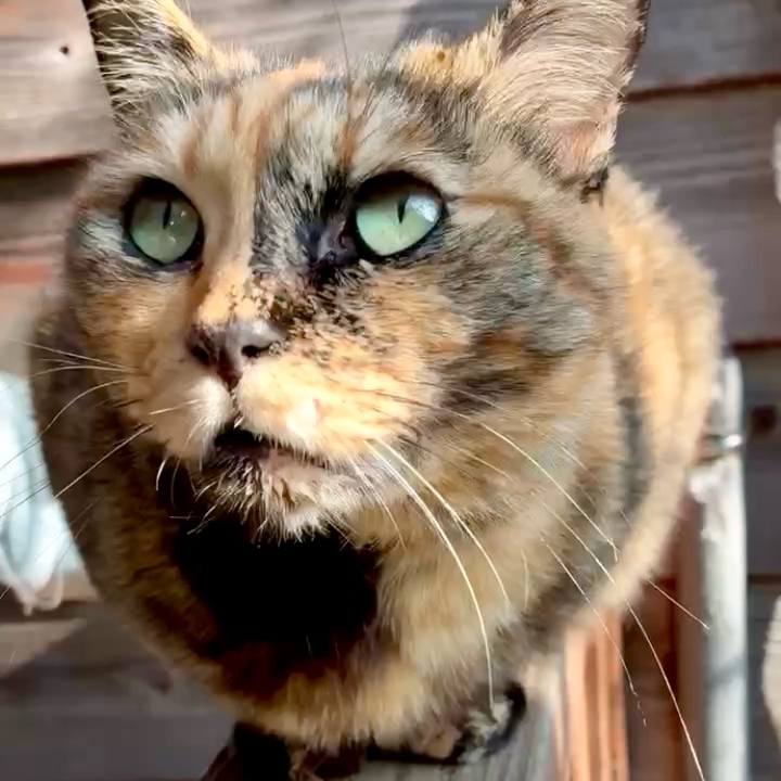 Bf00d769 7cdf 4738 89f4 591462823983 1763697805900