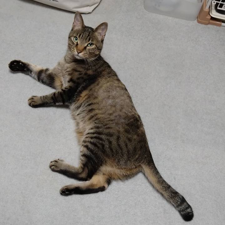 Bf0105eb f0d0 4a24 9468 c4920be54468 1671270292640