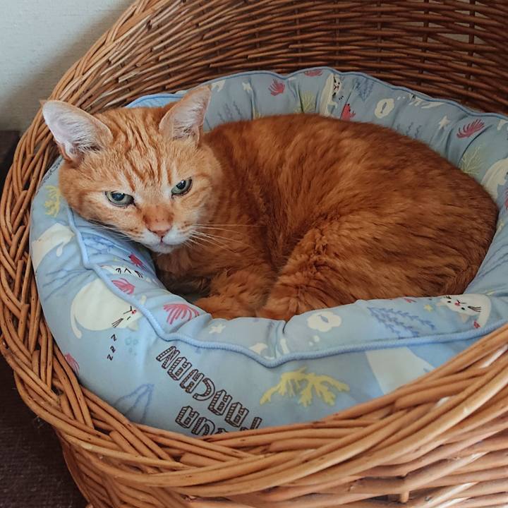 Bf01078f 8270 4a41 8ef9 b396175a8abf 1718524924549