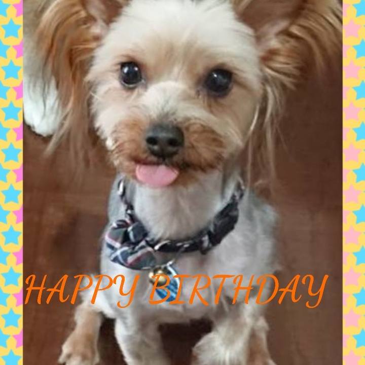 Bf014b9e 7371 4784 afd9 2a6af219f967 1565734186795