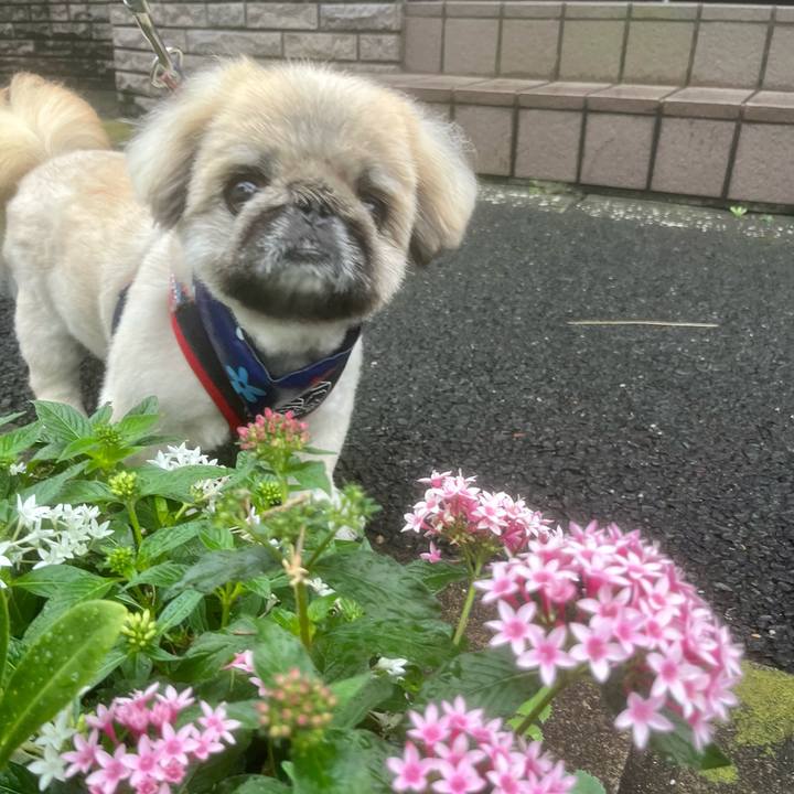 Bf015013 b8f1 4c4c bb87 6ceff8eed7c6 1721164622612