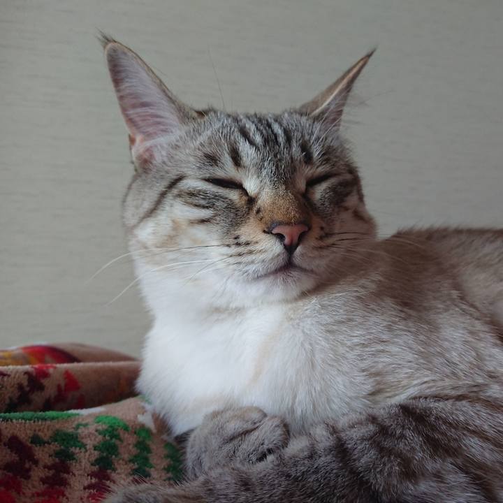 Bf01531e 30d1 4c8e ac6e a92c2b048513 1525484935839