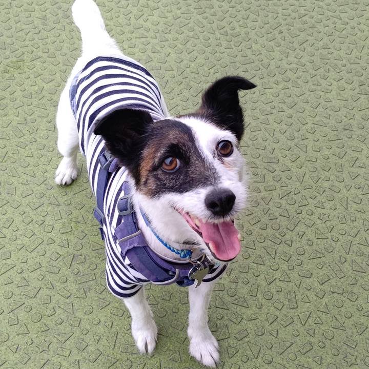 Bf0192d9 2575 4ebf a616 74c9acbc7f0b 1718272259174