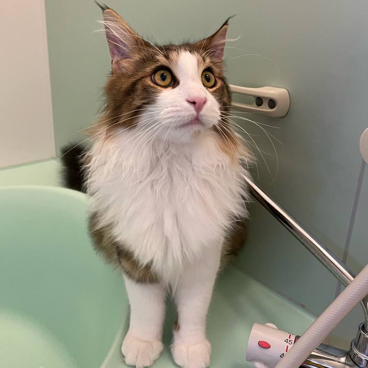 Bf01aed9 5b4d 4fef a499 ff4350da572d 1639775383633