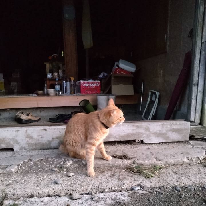 Bf01b102 56c3 4f5e b1ac 60354ec601e4 1663534413008