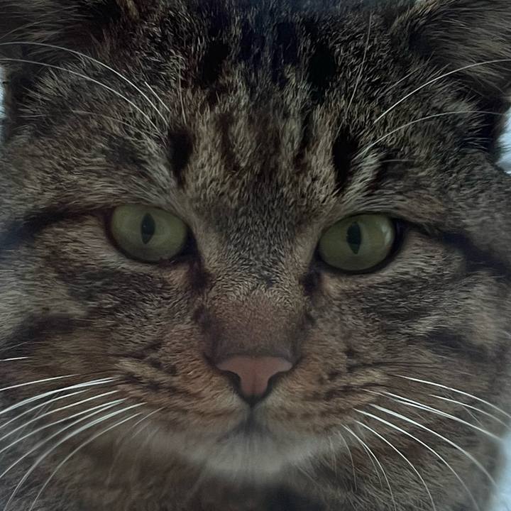 Bf01c853 9f4c 4d98 bb6e 08aa732c87f4 1739623991369