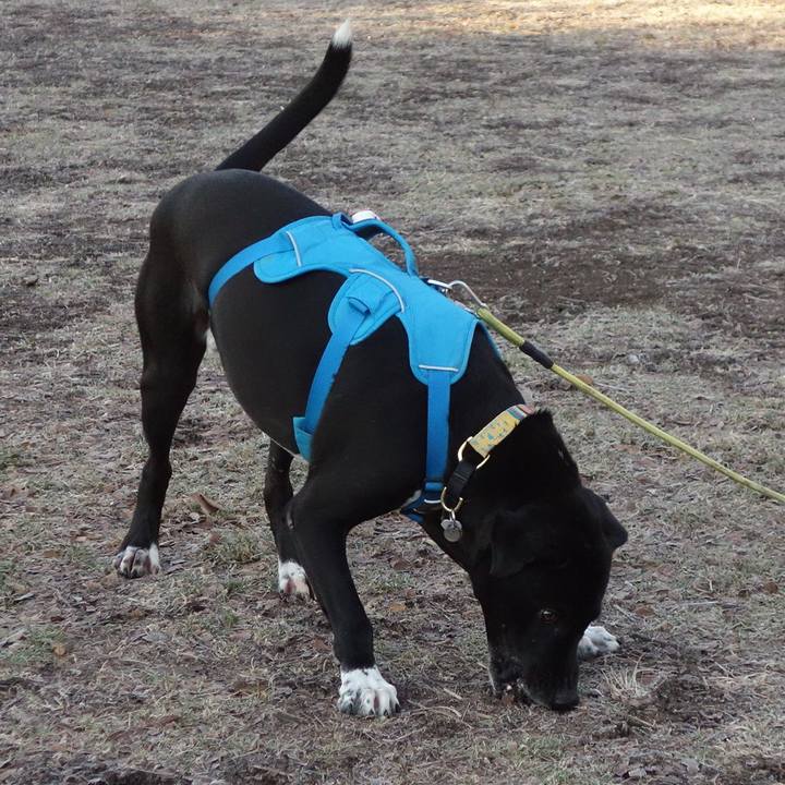 Bf01e290 be40 4d33 8107 f5834d6fedbf 1612311032381