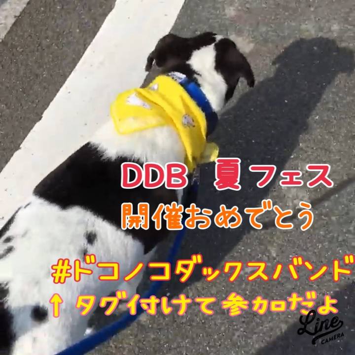 Bf01e345 eac6 4dc4 a6dd 3d89d0b4ace1 1691794344360