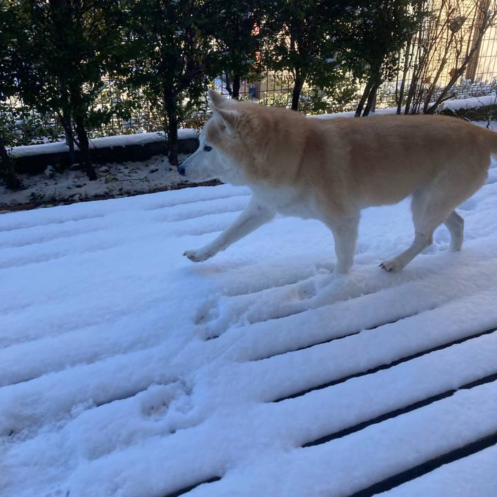 Bf02236c f2b6 4978 b708 6eb108d24647 1698942440852