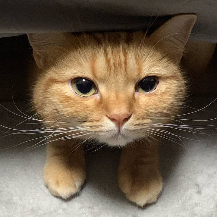 Bf024ba7 c8ae 4ed1 ab55 0ee369abab2f 1608778609322