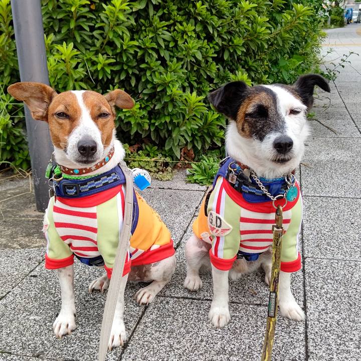 Bf025c7c 4c0f 4f00 9ad2 41a8f9013965 1630880202178