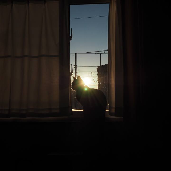 Bf02f8da 2dde 4155 af16 98a41856e2b3 1548715964151