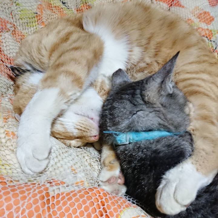 Bf033c33 6eb8 47b6 b30c 5834b4ed6715 1573564053420